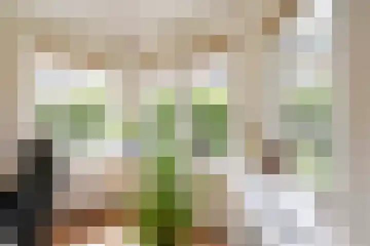 Mezenlaan 12 Den Haag thumbnail 13