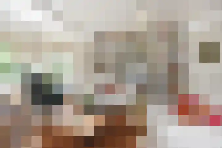 Mezenlaan 12 Den Haag thumbnail 14