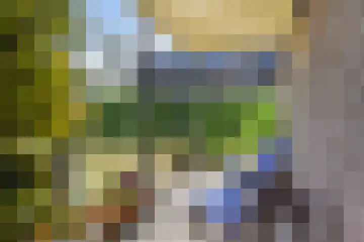 Mezenlaan 12 Den Haag thumbnail 16