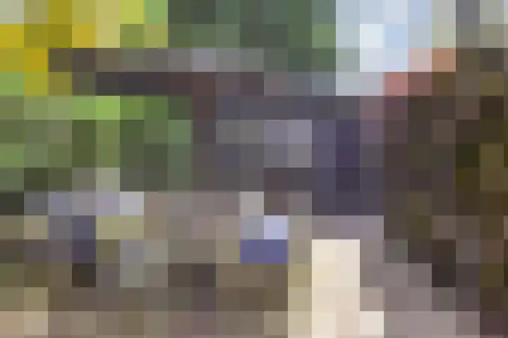 Mezenlaan 12 Den Haag thumbnail 21
