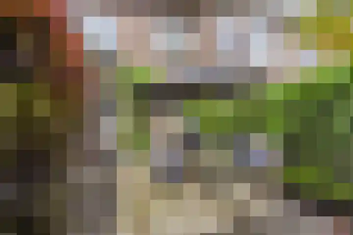 Mezenlaan 12 Den Haag thumbnail 22
