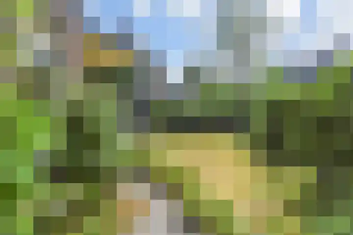 Mezenlaan 12 Den Haag thumbnail 24
