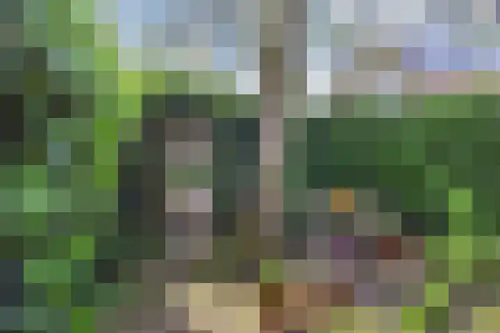 Mezenlaan 12 Den Haag thumbnail 25