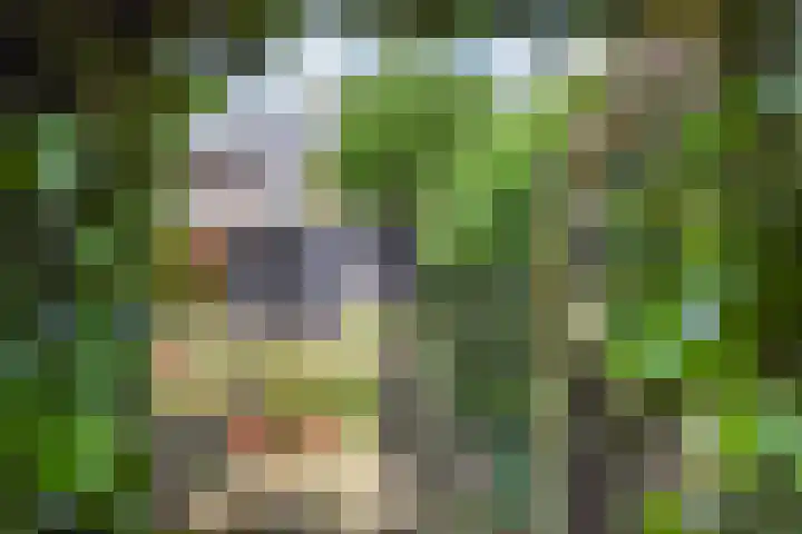Mezenlaan 12 Den Haag thumbnail 26