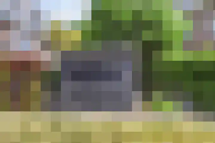 Mezenlaan 12 Den Haag thumbnail 27