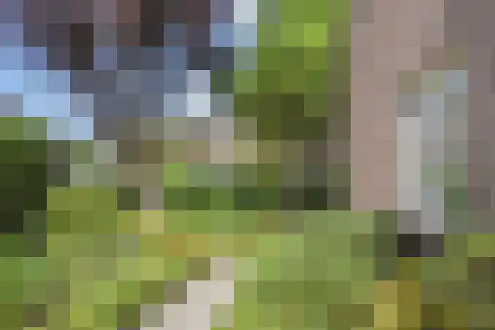 Mezenlaan 12 Den Haag thumbnail 28