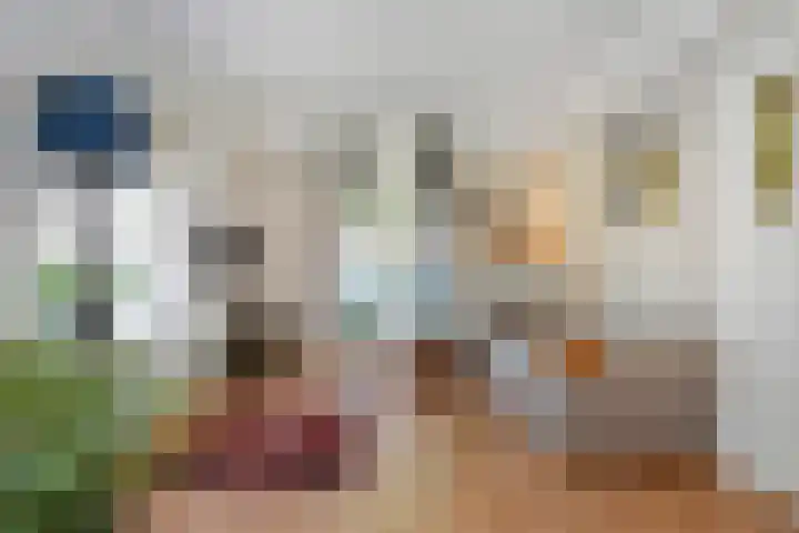 Mezenlaan 12 Den Haag thumbnail 29