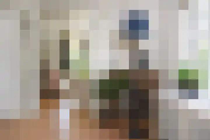Mezenlaan 12 Den Haag thumbnail 31