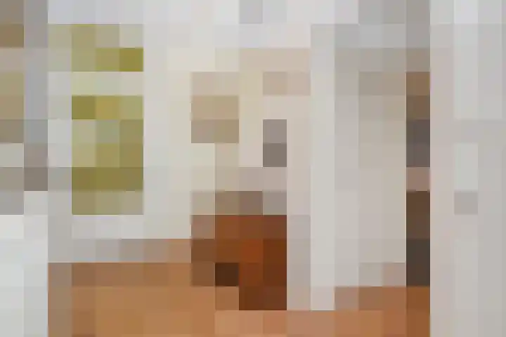 Mezenlaan 12 Den Haag thumbnail 32