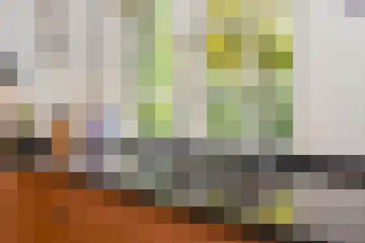 Mezenlaan 12 Den Haag thumbnail 39