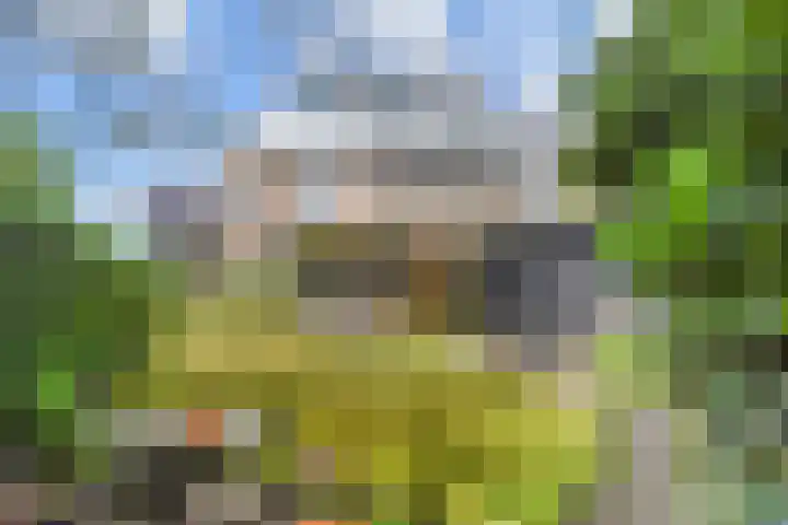 Mezenlaan 12 Den Haag thumbnail 4