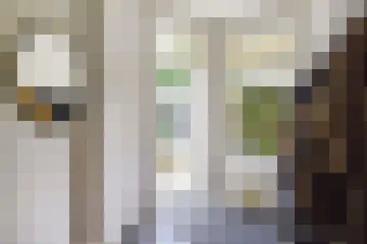 Mezenlaan 12 Den Haag thumbnail 40