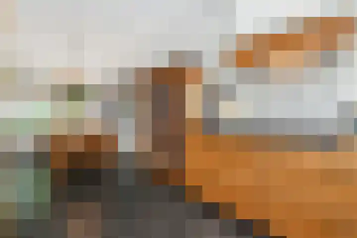 Mezenlaan 12 Den Haag thumbnail 42