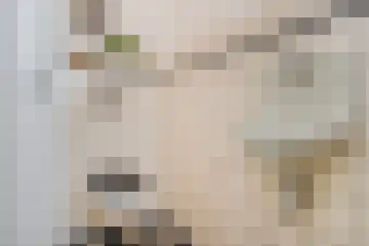 Mezenlaan 12 Den Haag thumbnail 44