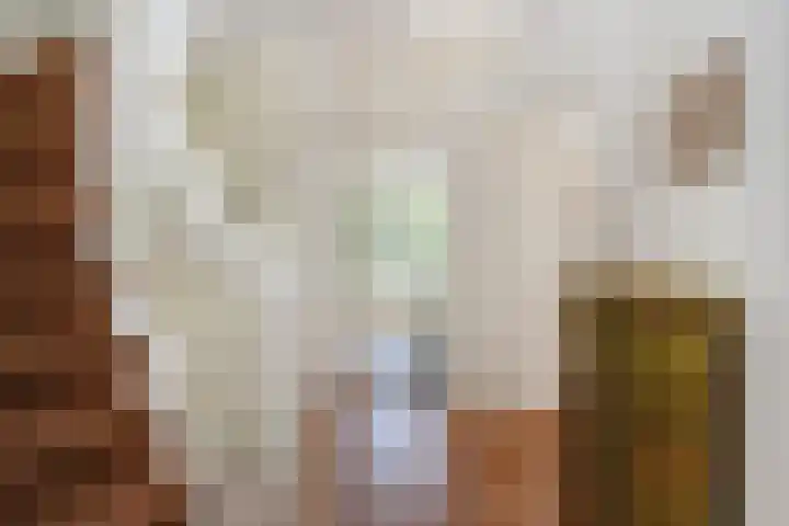 Mezenlaan 12 Den Haag thumbnail 45