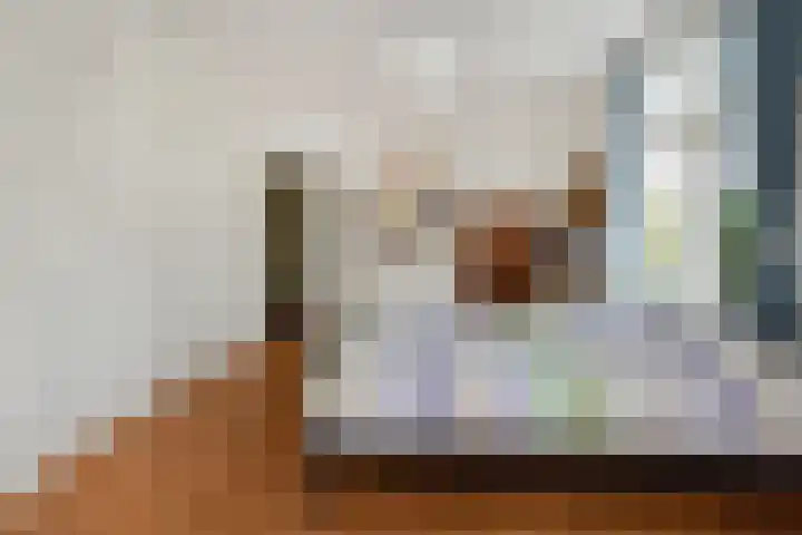 Mezenlaan 12 Den Haag thumbnail 49