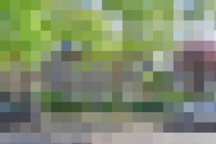 Mezenlaan 12 Den Haag thumbnail 5