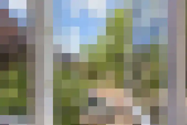 Mezenlaan 12 Den Haag thumbnail 57