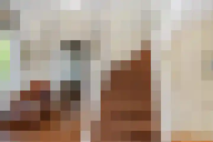 Mezenlaan 12 Den Haag thumbnail 58