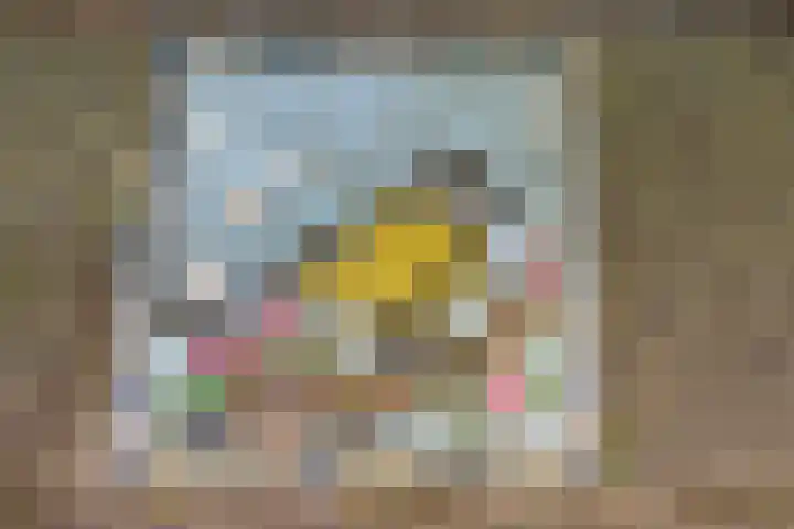 Mezenlaan 12 Den Haag thumbnail 6