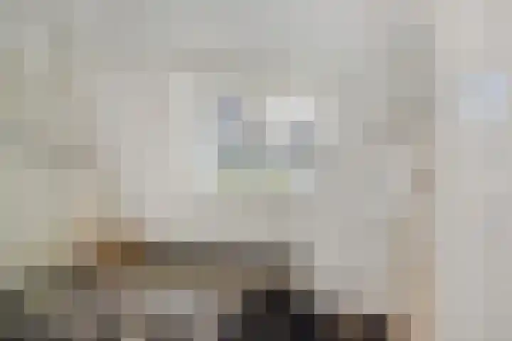 Mezenlaan 12 Den Haag thumbnail 66