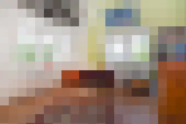 Mezenlaan 12 Den Haag thumbnail 67