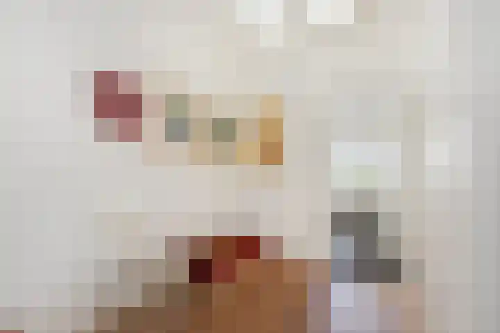 Mezenlaan 12 Den Haag thumbnail 69