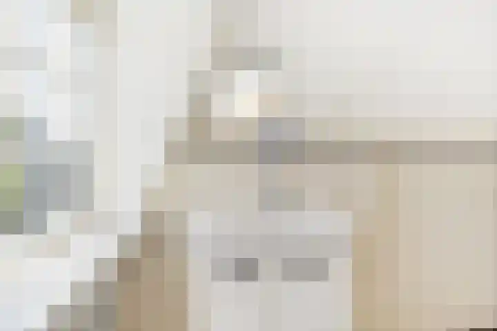 Mezenlaan 12 Den Haag thumbnail 71