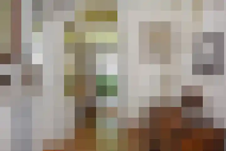 Mezenlaan 12 Den Haag thumbnail 74