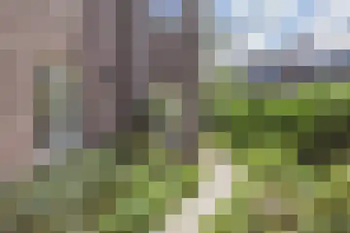 Mezenlaan 12 Den Haag thumbnail 75
