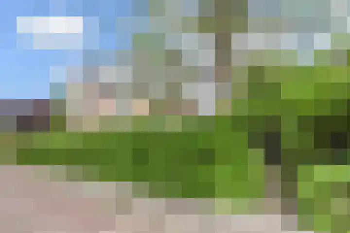 Mezenlaan 12 Den Haag thumbnail 77