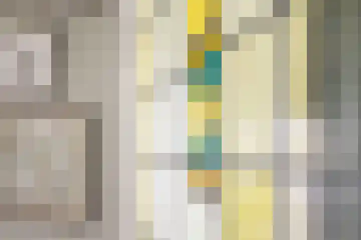 Mezenlaan 12 Den Haag thumbnail 9