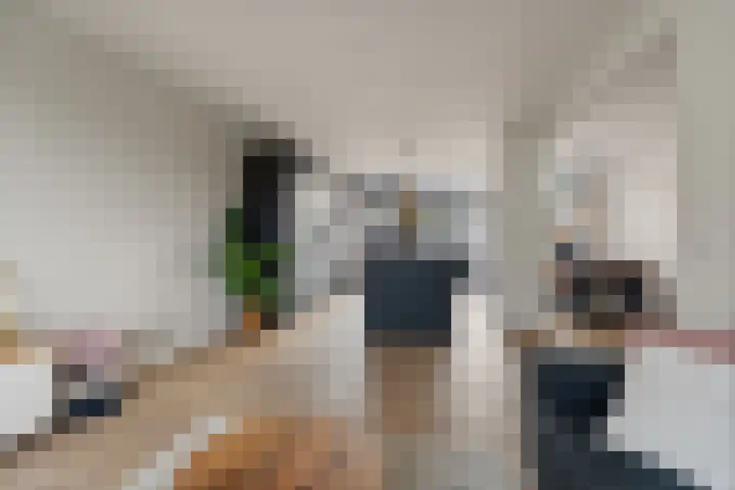 Mezenlaan 120 Dieren thumbnail 12