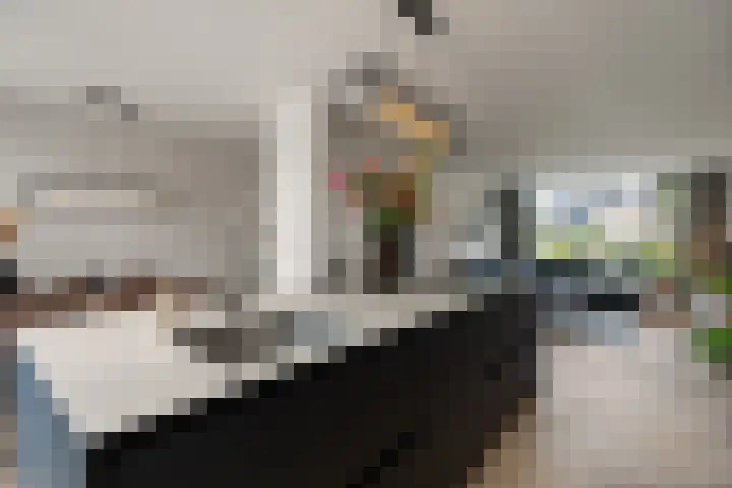 Mezenlaan 120 Dieren thumbnail 18