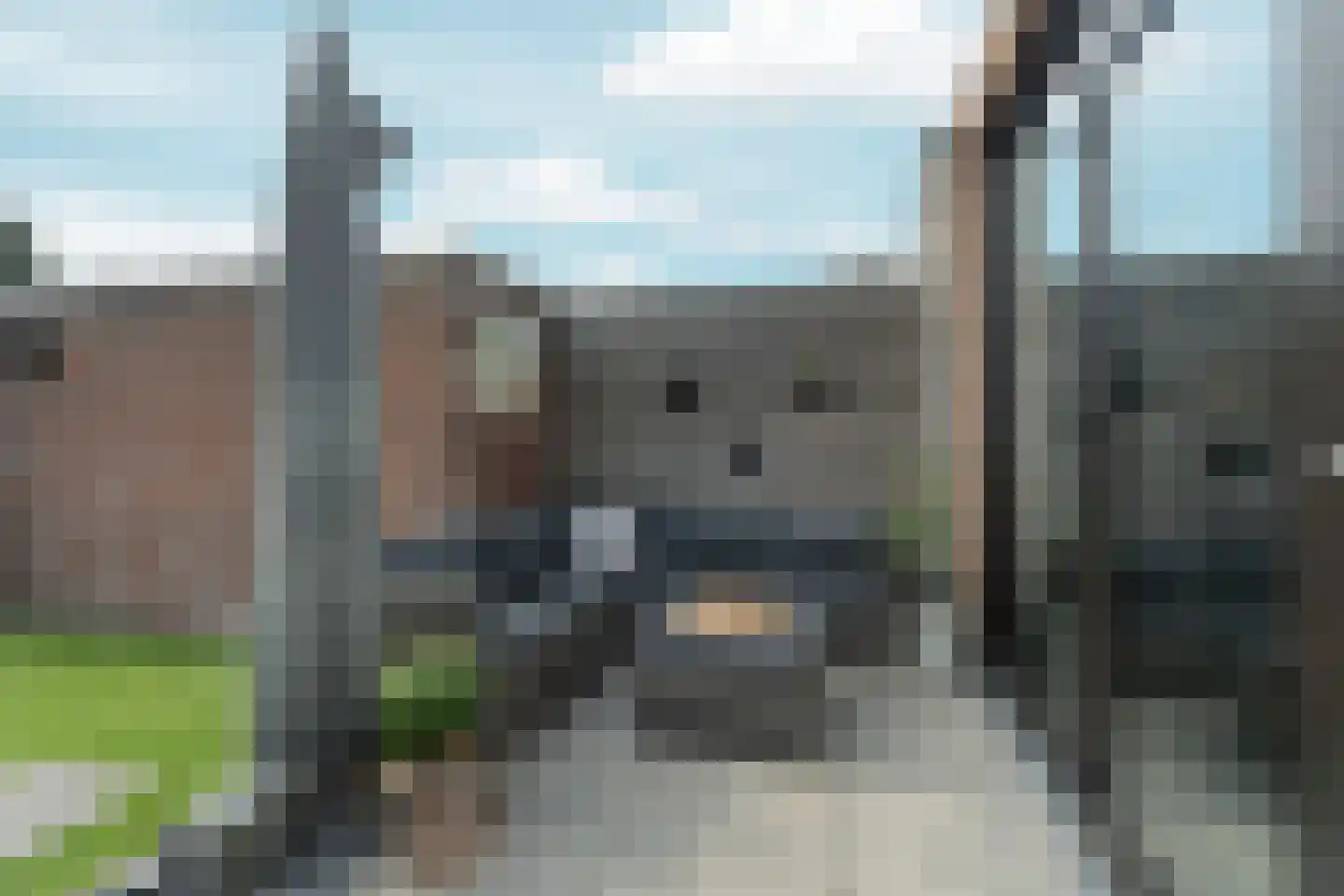 Mezenlaan 120 Dieren thumbnail 33