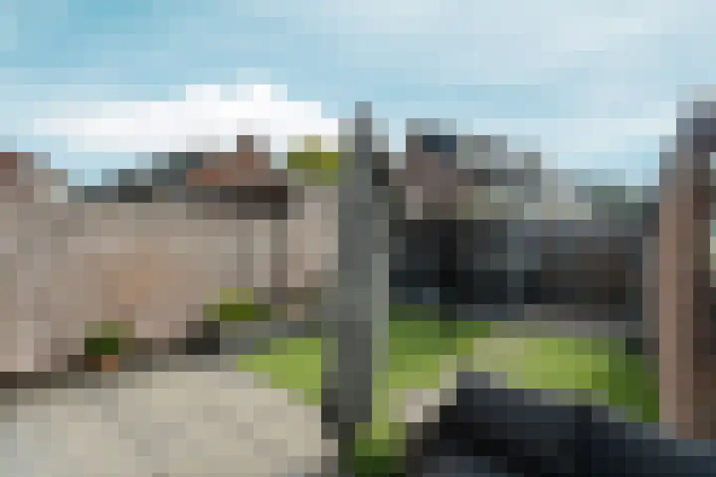 Mezenlaan 120 Dieren thumbnail 36