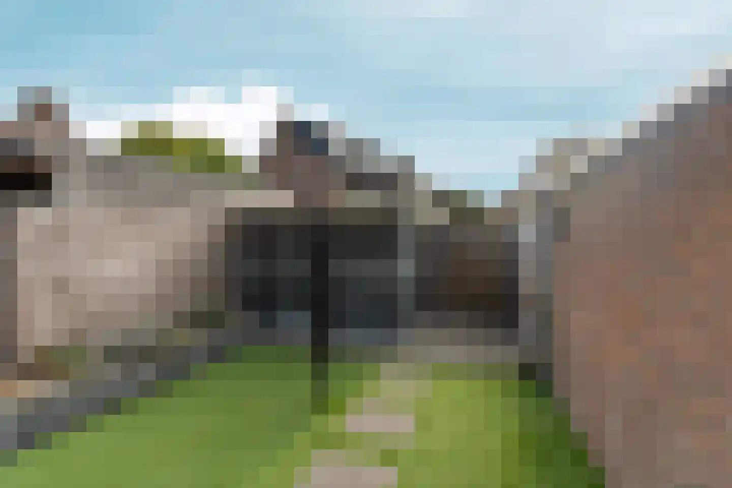 Mezenlaan 120 Dieren thumbnail 37
