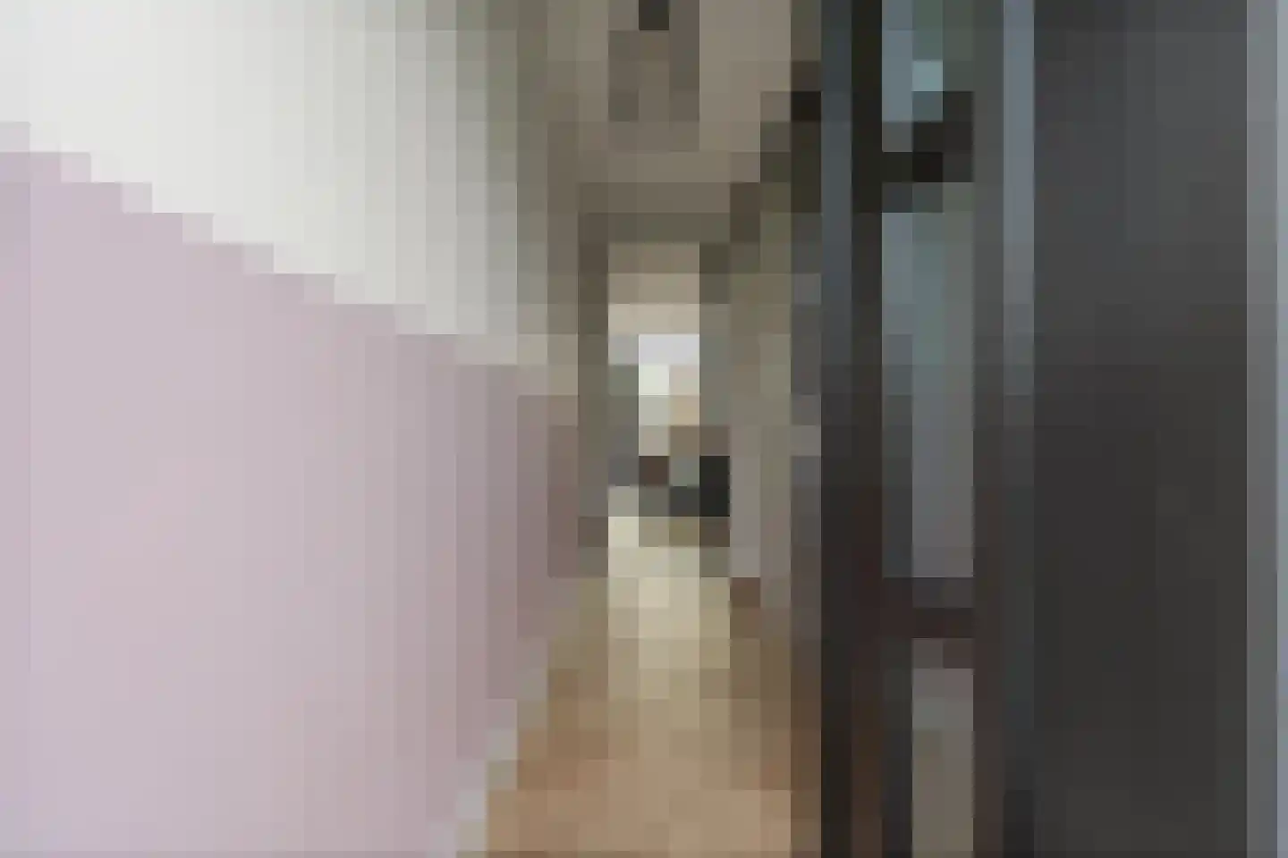 Mezenlaan 120 Dieren thumbnail 6