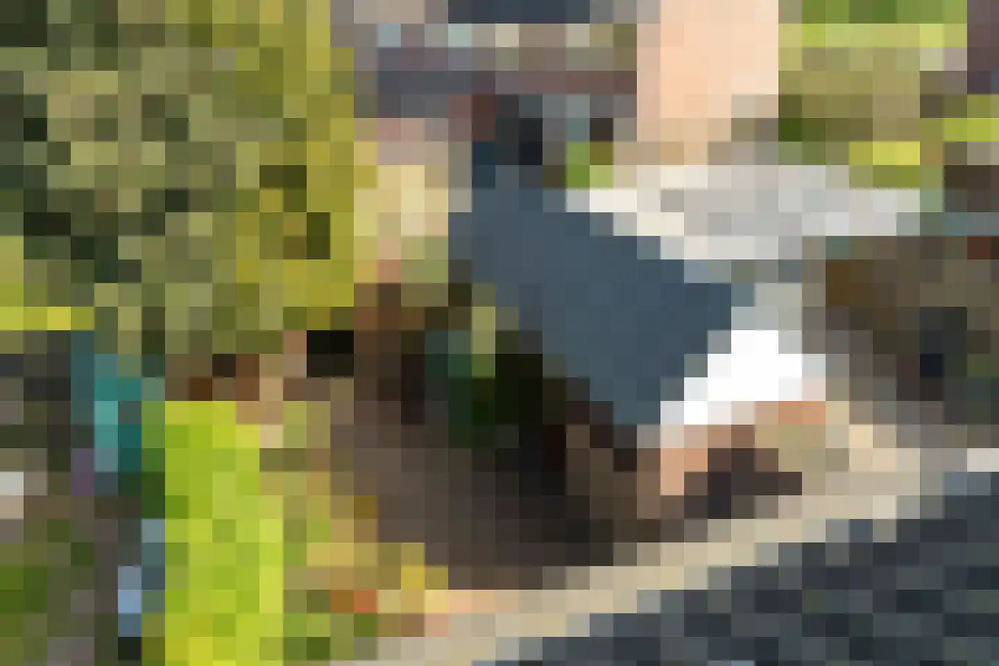 Mezenlaan 136 Dieren thumbnail 24