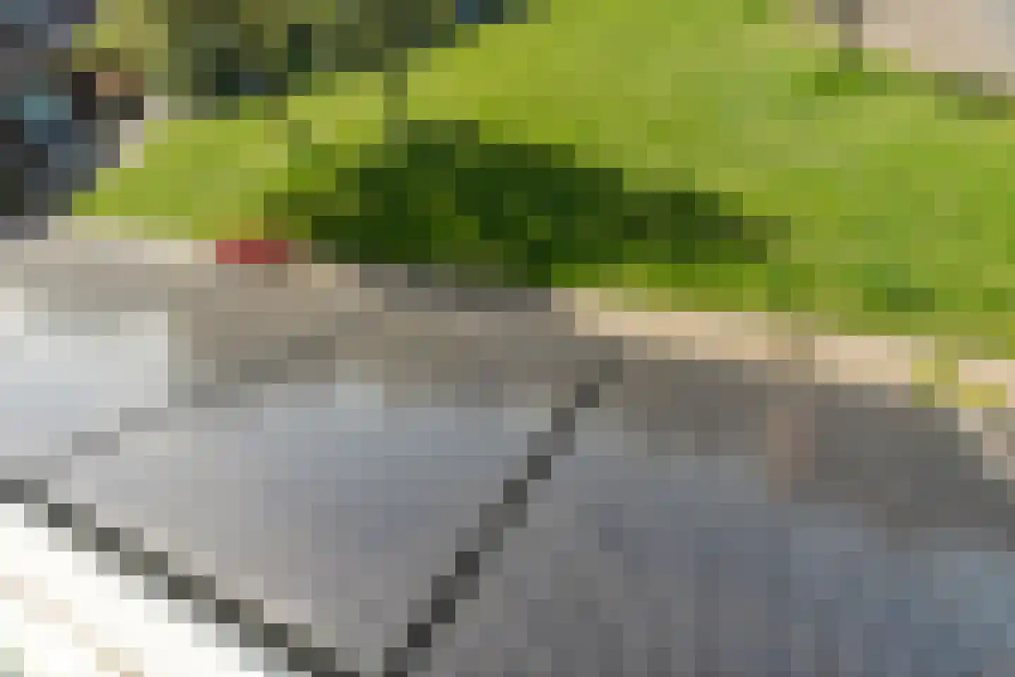 Mezenlaan 136 Dieren thumbnail 25
