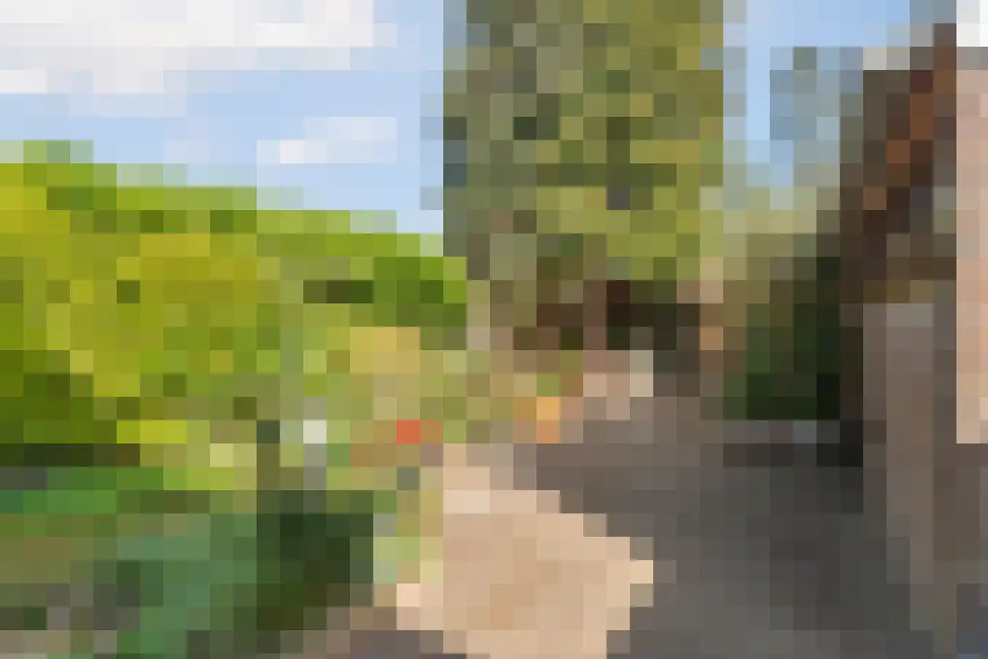 Mezenlaan 136 Dieren thumbnail 27