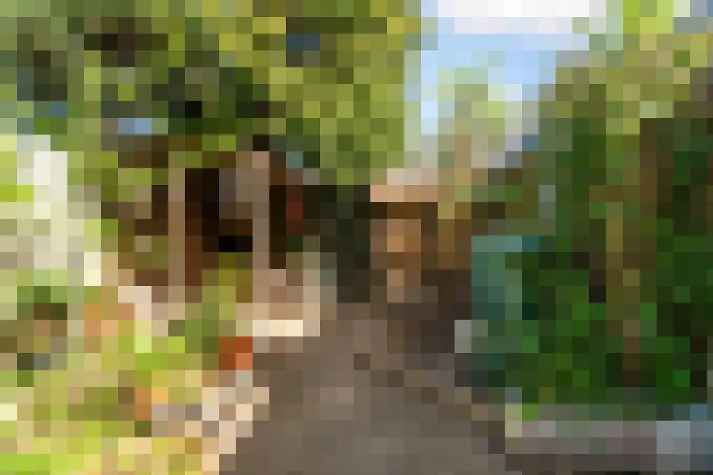 Mezenlaan 136 Dieren thumbnail 28