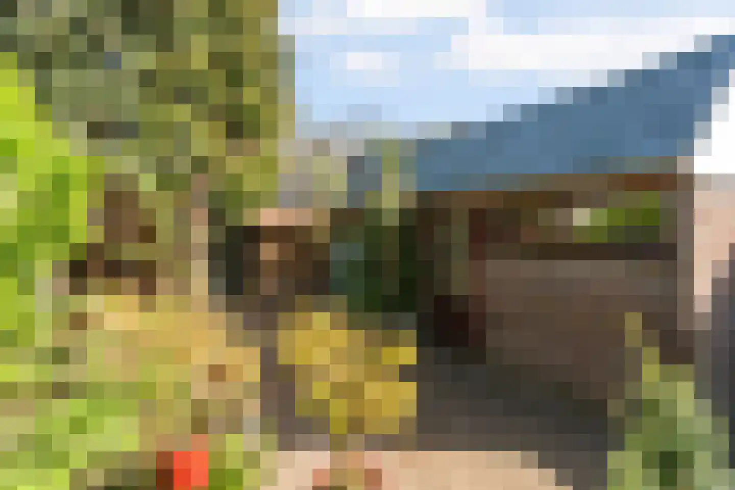 Mezenlaan 136 Dieren thumbnail 29