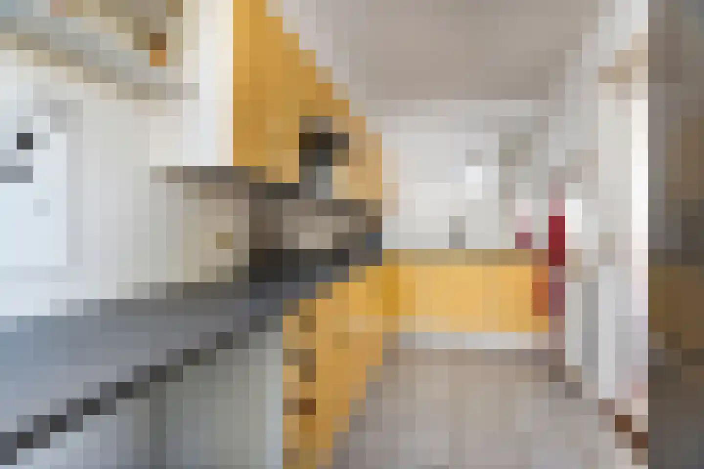 Mezenlaan 136 Dieren thumbnail 9