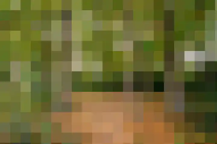 Mezenlaan 17 D Bussum thumbnail 12