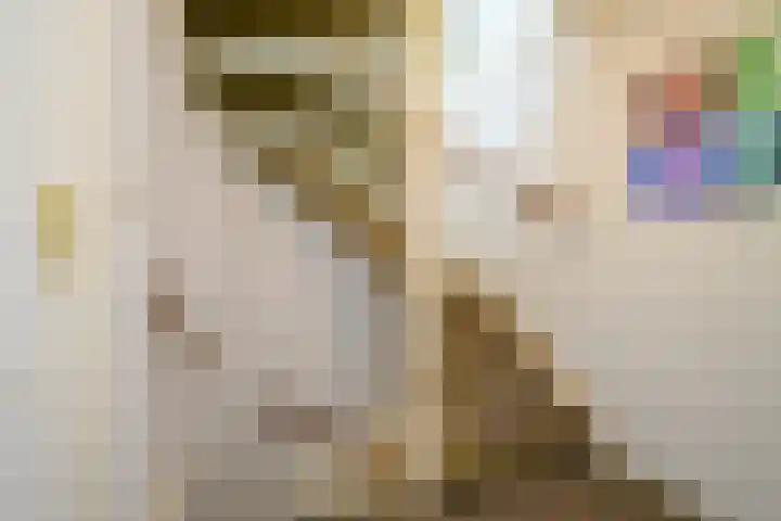 Mezenlaan 17 D Bussum thumbnail 13