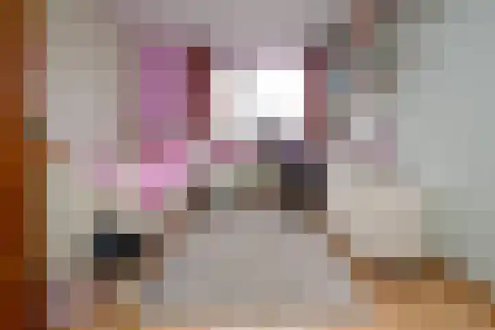 Mezenlaan 17 D Bussum thumbnail 19