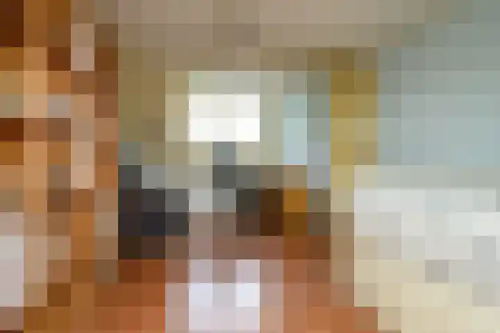 Mezenlaan 17 D Bussum thumbnail 25