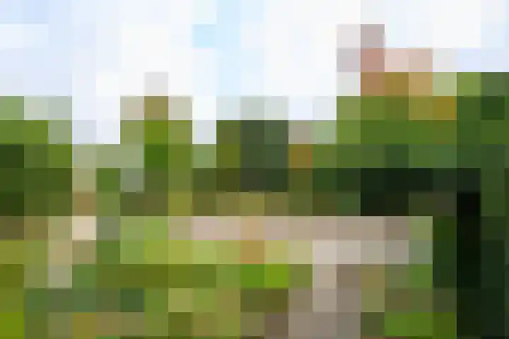 Mezenlaan 17 D Bussum thumbnail 26