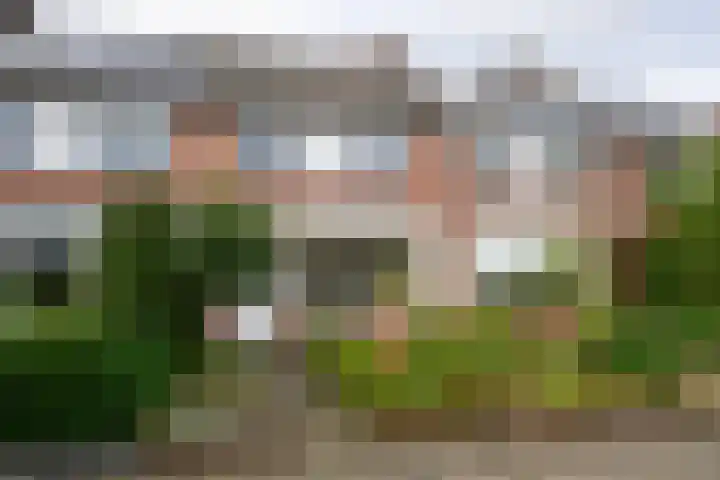 Mezenlaan 17 D Bussum thumbnail 27